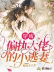 穿成偏执大佬的小逃妻全文免费阅读