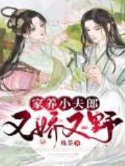 家养小夫郎又娇又野全文免费阅读